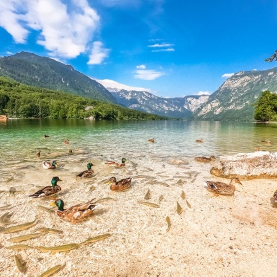 Bohinj5.jpg