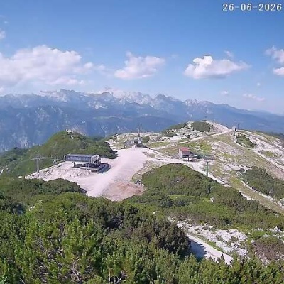 Vogel2.jpg