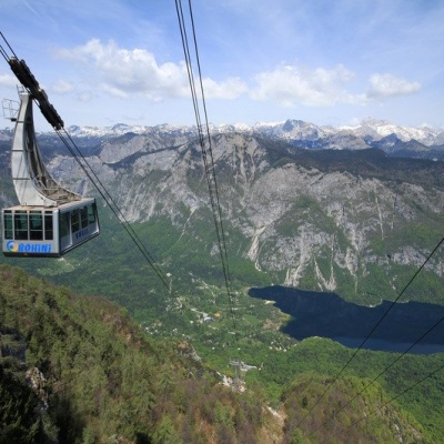 Vogel1.jpg