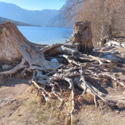 20220313_152440.jpg