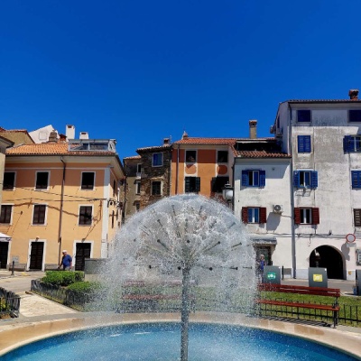 20260524_122550.jpg